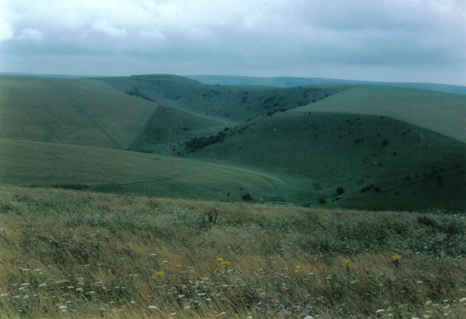 SouthDowns1b