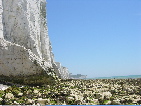DSCN1047